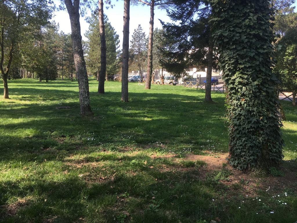 Old Town In The Green: Federico'S Apartment. Флоренція Екстер'єр фото